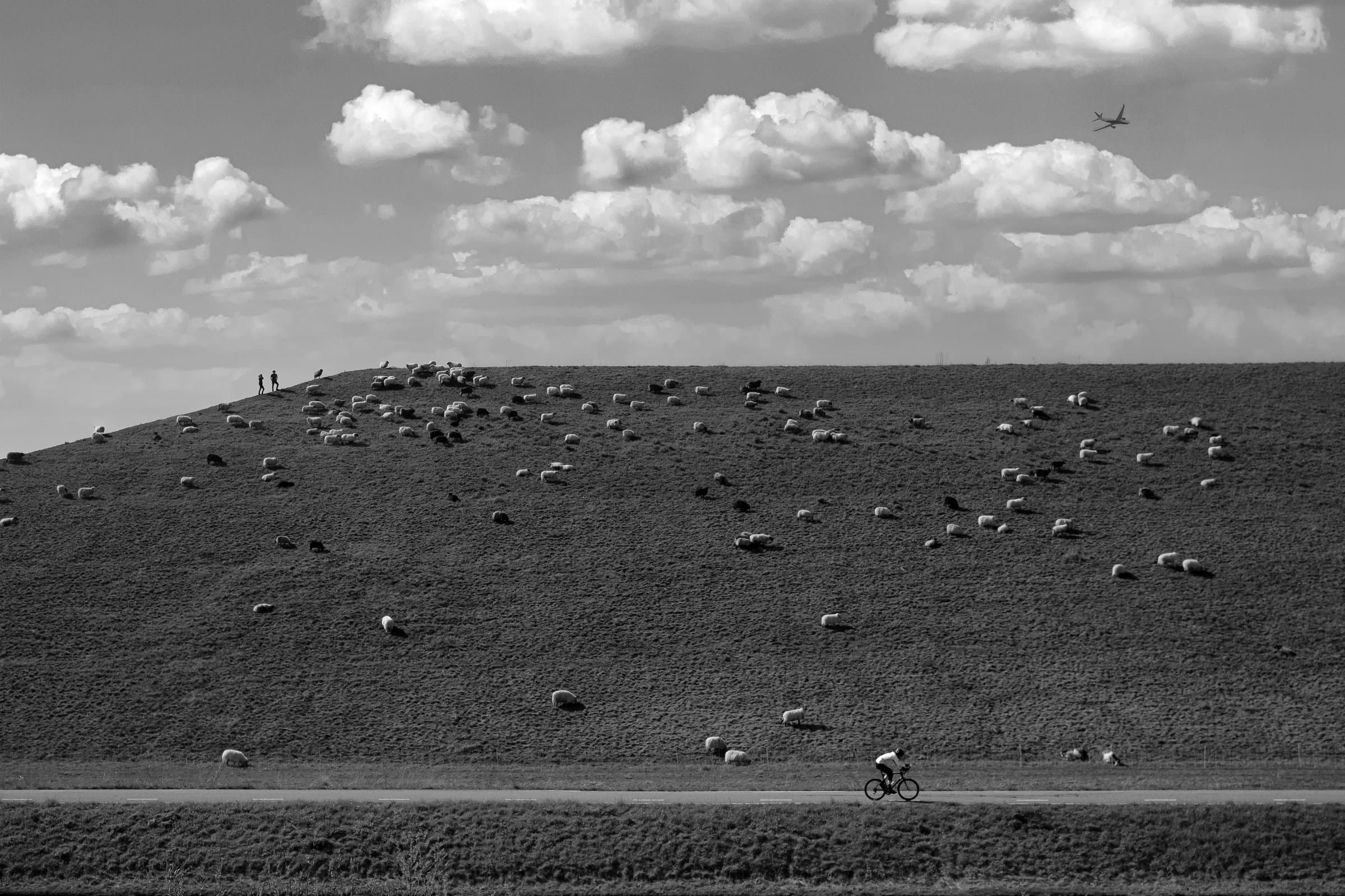 Common Ground — Een eenzame fietser rijdt over de weg onder een grazige Haarlemse dijk, schapen grazen op het talud en twee wandelaars staan op de kruin — stilte en beweging delen één rustige middag, in zwart-wit.